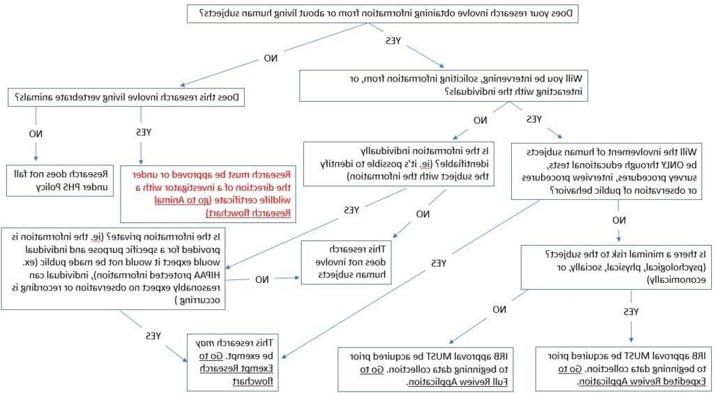 A flow chart for the Institutional Review Board process.